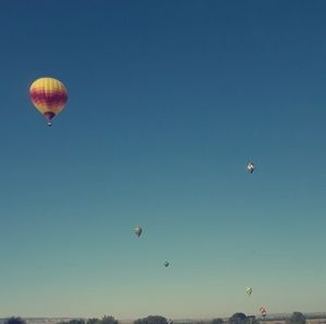 Meet your Posher, Avery